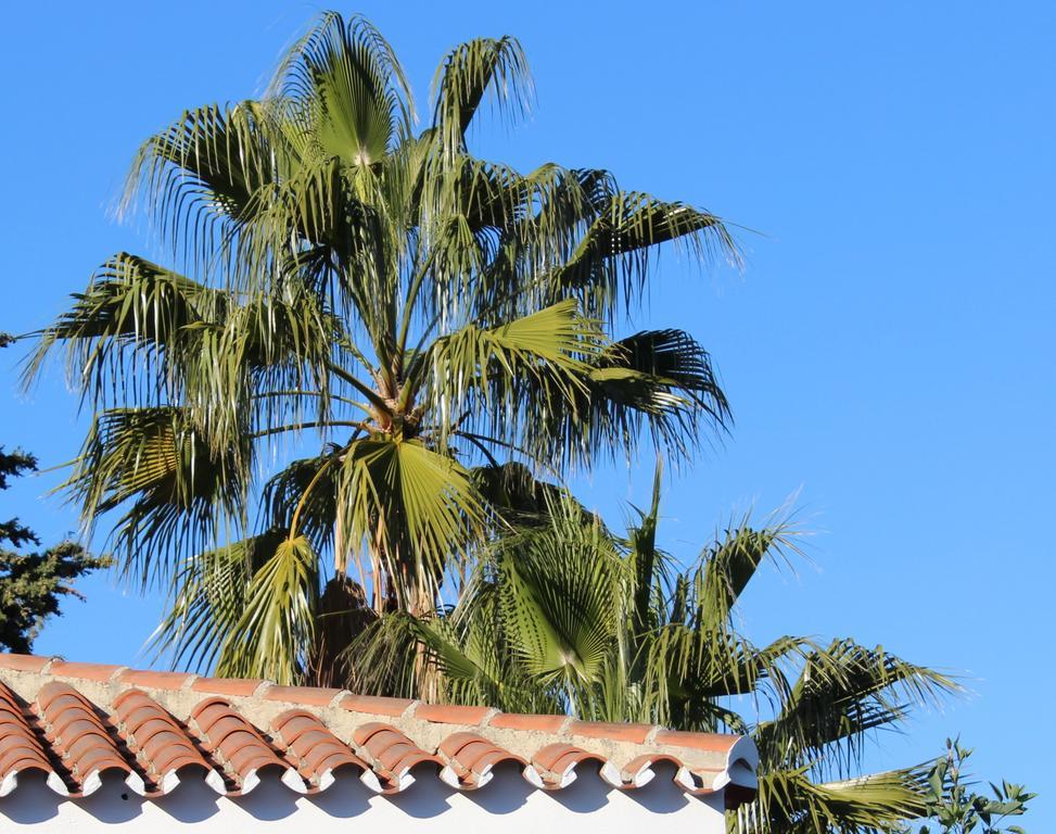 Bed And Breakfast Mirador Infinito Alhaurín el Grande Εξωτερικό φωτογραφία